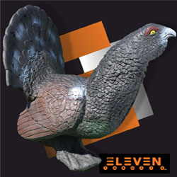 ElevenBlack Cock 3D Target