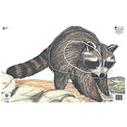 NFAA Group 3 Target Face - Racoon