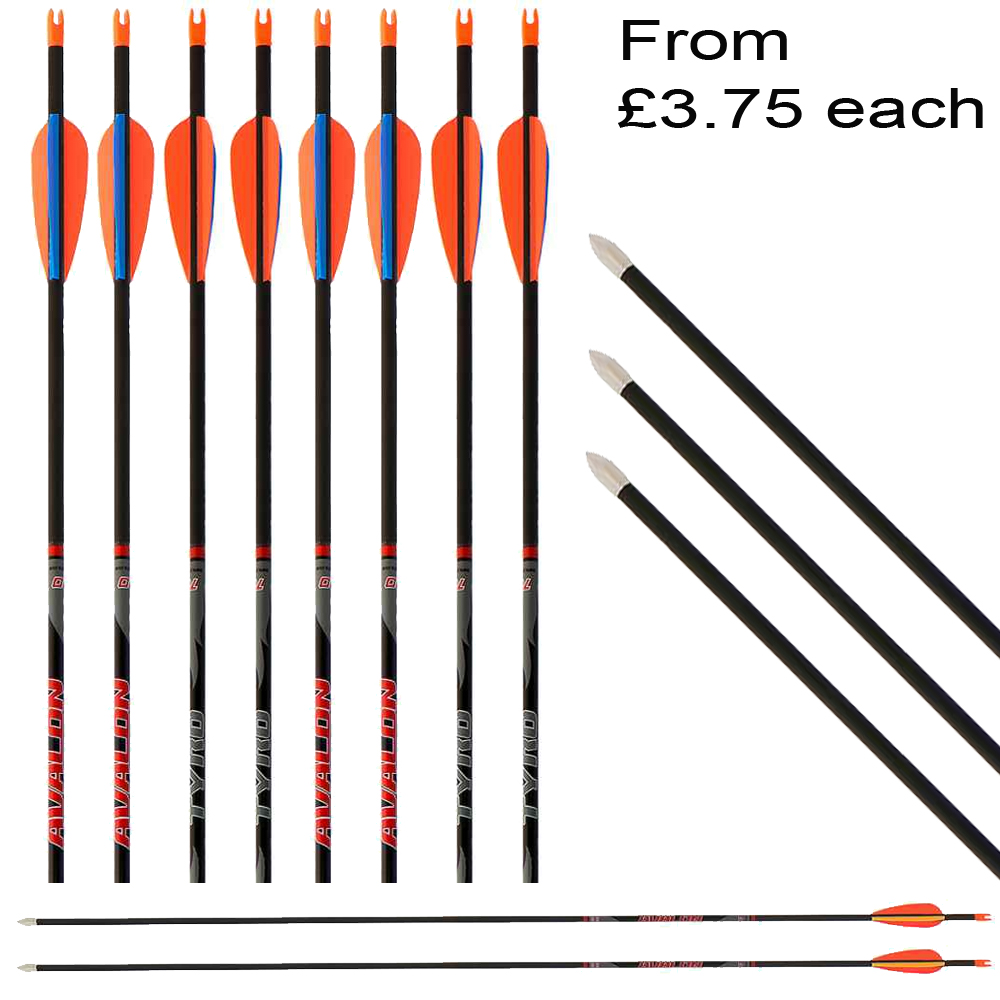 lots of spines 6 x Fully Made Avalon Tyro Arrows 