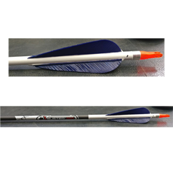 6 x Refurbished Carbon Express X-Buster Arrows