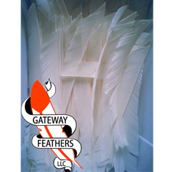 Gateway Full Length Feathers - RW