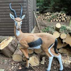 Used - Rinehart Gazelle