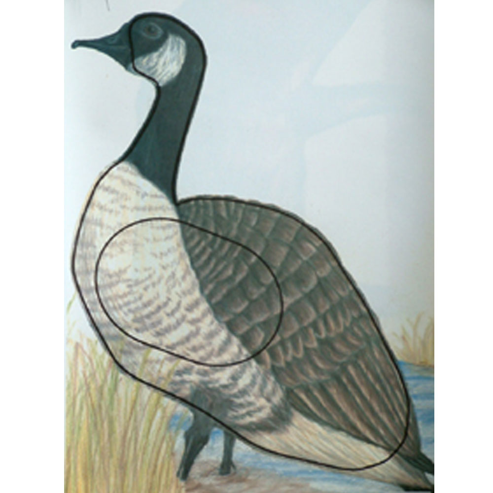 The Archery Company NFAA Group 3 Target Face Canadian Goose