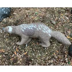 Used - Rinehart Wolverine