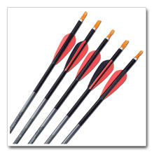 Aluminium Arrows