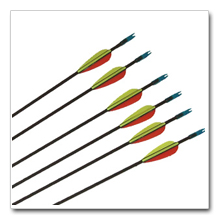 Beginners Arrows