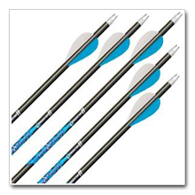 Carbon Arrows