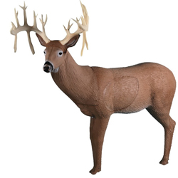 Rinehart 30 Point Buck 3D Target