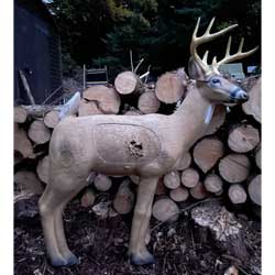 Used - Rinehart Alert Deer 3