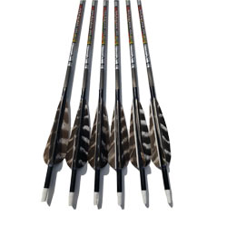 Carbon Express Mayhem SDS Arrows