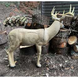 Used - Rinehart Big Ten Buck - 2