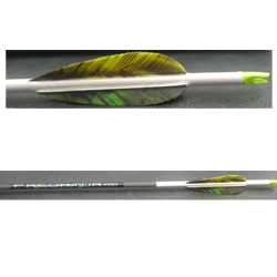 Special Offer 12 x Carbon Express Predator II Arrows