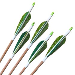 Carbon Express Heritage 75 Arrows