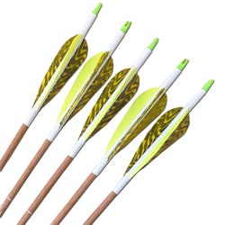 Carbon Express Heritage 75 Arrows