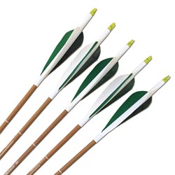 Carbon Express Heritage 90 Arrows