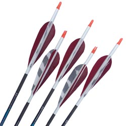 Carbon Express Predator II 700 Arrows - inc points