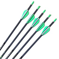 Carbon Express Predator II 900 Arrows - inc points