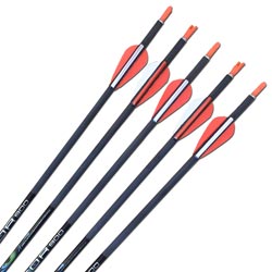 Carbon Express Predator II 900 Arrows - inc points