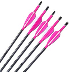 Easton XX75 1616 Arrows - inc points