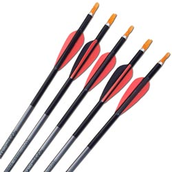 Easton XX75 1713 Arrows - inc points