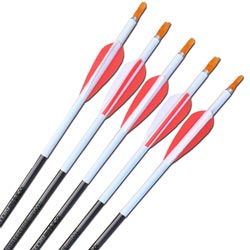 Easton XX75 1716 Arrows - inc points