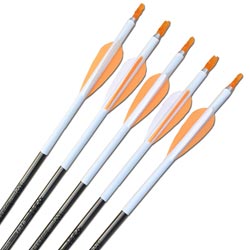 Easton XX75 1816 Arrows - inc points