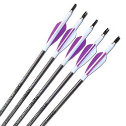 Easton XX75 1913 Arrows - inc points