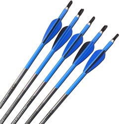 Easton XX75 1916 Arrows - inc points