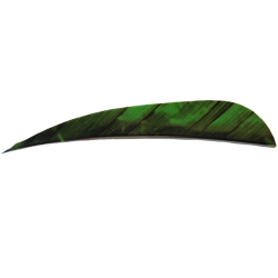 Premium Feathers 4" LW Parabolic Camo