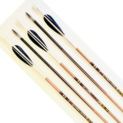 Gold Tip Traditional Classic XT 500 Spine x 12