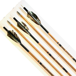 Gold Tip Traditional 600 Spine x 12