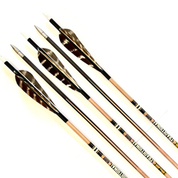 Gold Tip Traditional Classic 600 Spine x 12