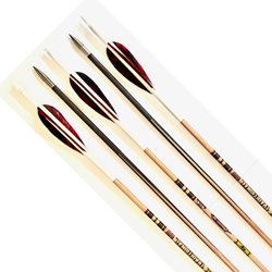 Gold Tip Traditional Classic XT 600 Spine x 12