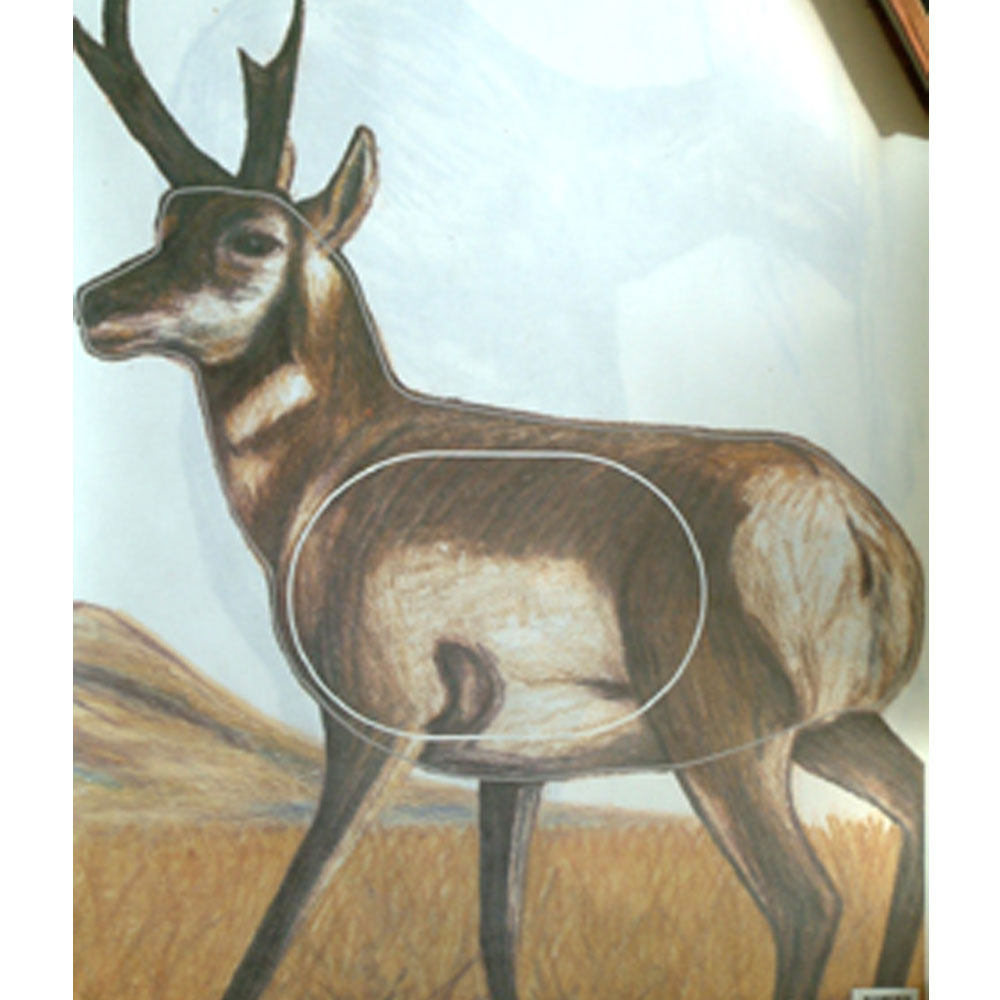 The Archery Company - NFAA Group 2 Target Face - Pronghorn Antelope