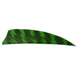 Premium Feathers 3" RW Shield Barred